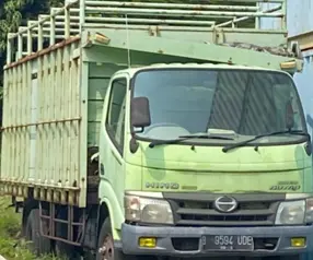 [29] Truk Hino
